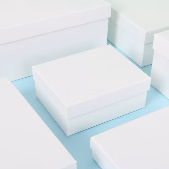 Christmas Special Design Paper Gift Packaging Boxes for Dog Treats Kids Toys Makeup Cosmetic 24 Days Countdown Offset Printing Logo Customized Blind Box